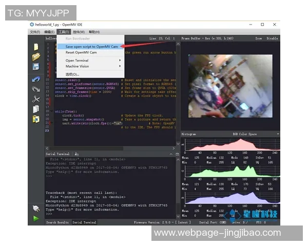 图森与黑的精彩对决视频下载分享与观看指南